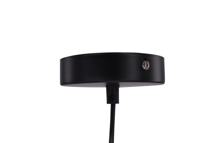 498dc2ca-5960-4c7a-a80b-353411f8e3fa-afbeelding6.jpg (10018017)