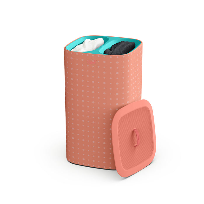 502206bb-6929-46c9-a96d-73897a1faa1e-afbeelding3.jpg (10037781)