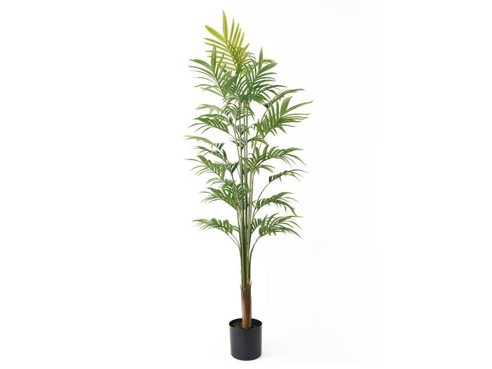 present time - Artificial Plant Gold Palm Tree Large
