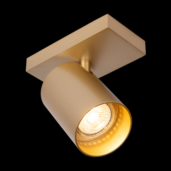 ff2fc3d4-498d-4170-bea5-18aa292d3b01-sfeerbeeld.jpg (10171834)