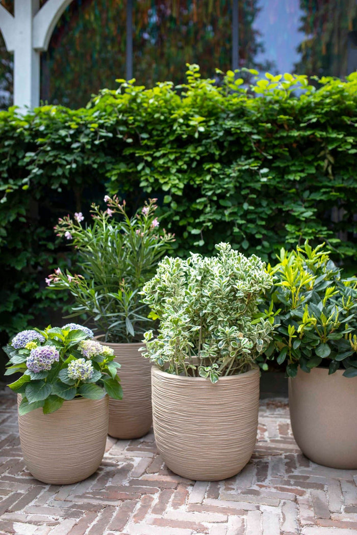 Capi Europe - Pot bol Waste Rib NL - 35x34 - Terrazzo beige