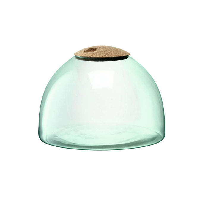 L.S.A. - Canopy Planten Terrarium 22cm
