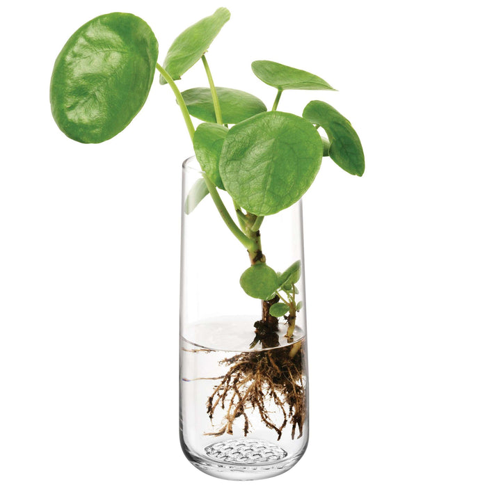 L.S.A. - Market Vaas 17,5 cm