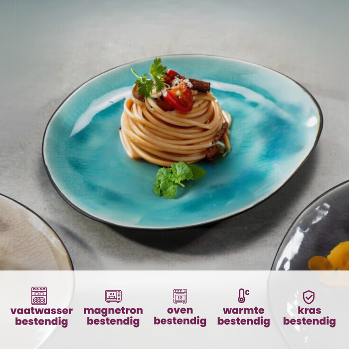 Cosy & Trendy Dinerborden Streetfood 27.5 x 23 cm - 10 Stuks