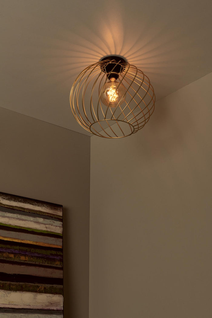 62a7915f-5e6d-4078-bbf4-f954c180dc0d-afbeelding4.jpg (10219612)