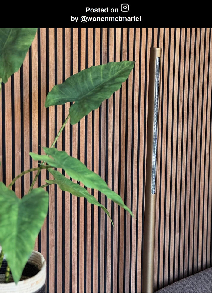 Lucide Premium GRIFFITH Vloerlamp - Brons