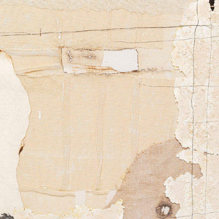 d6554df0-307c-4bf7-b8f5-f4bfa6b1b594-afbeelding4.jpg (10266653)