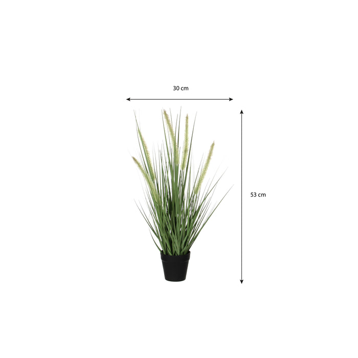 Mica Decorations Dogtail Gras Kunstplant - H53 x Ø30 cm - Groen