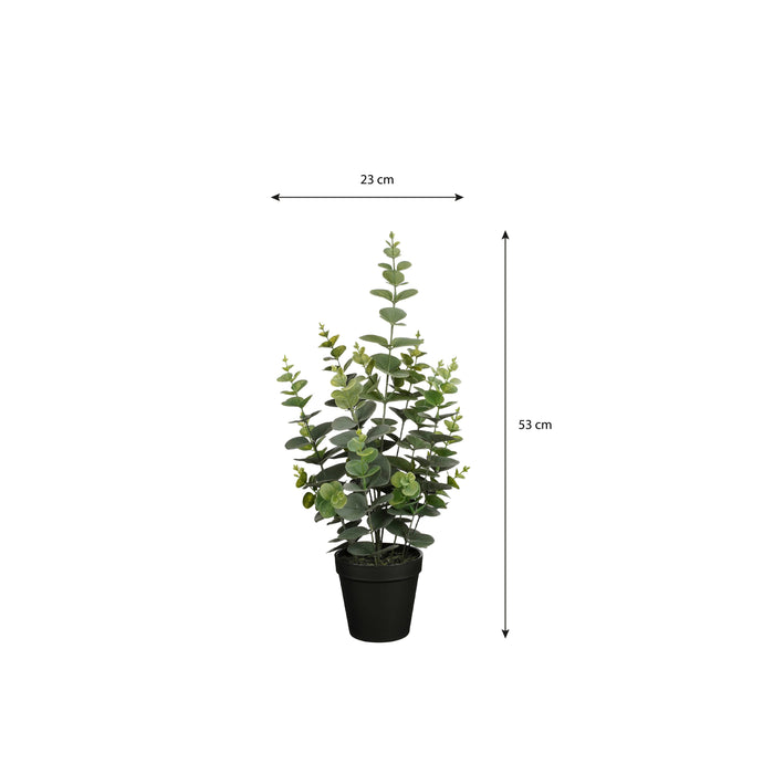 Mica Decorations Eucalyptus Kunstplant - H53 x Ø23 cm - Groen