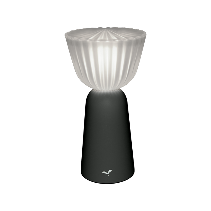 Fermob Swiing - draadloze tafellamp - outdoor - H 20 cm - Carbone