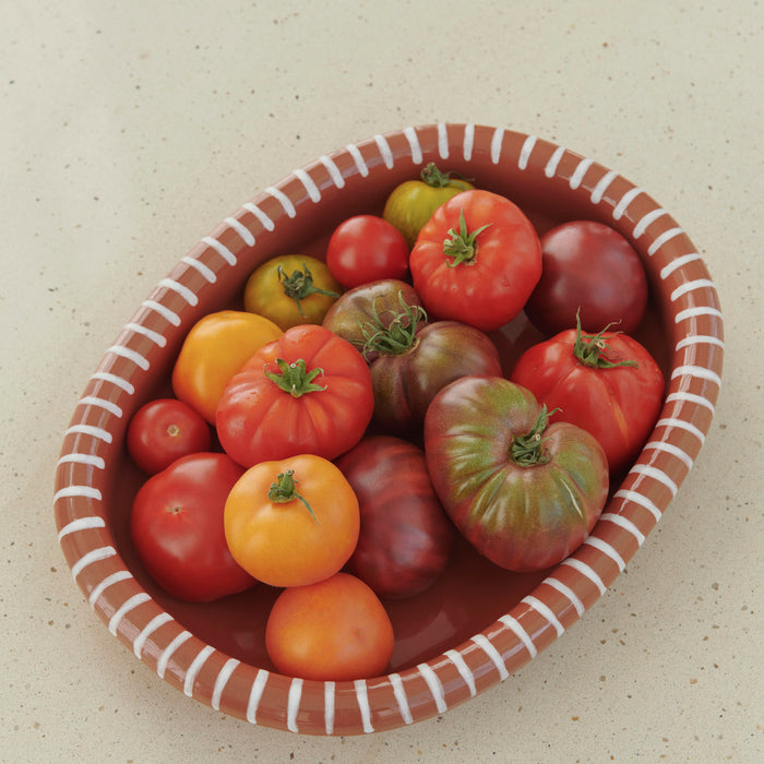 HAY Barro Ovale Schaal - Large - Naturel