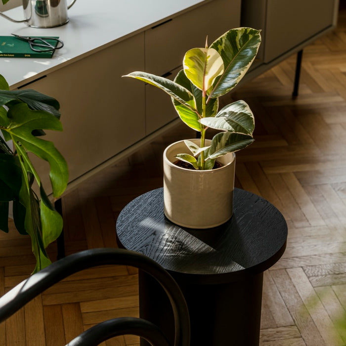 24009d04-e36e-499f-80fd-2634ef92906a-afbeelding3.jpg (10287540)