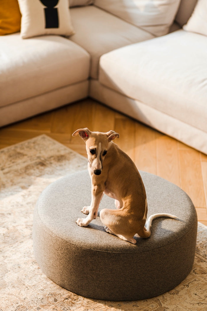 noo.ma FOLK Poef - Universal Grey Wool