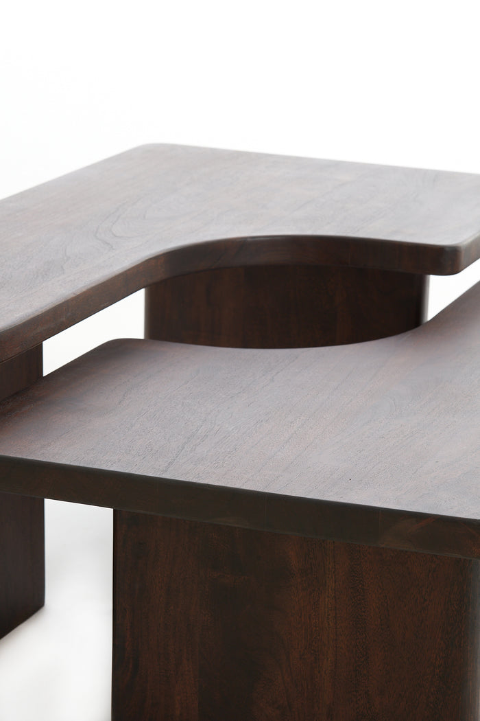 Light & Living - Salontafel CRATO - 120x60x45cm - Bruin - Set van 2