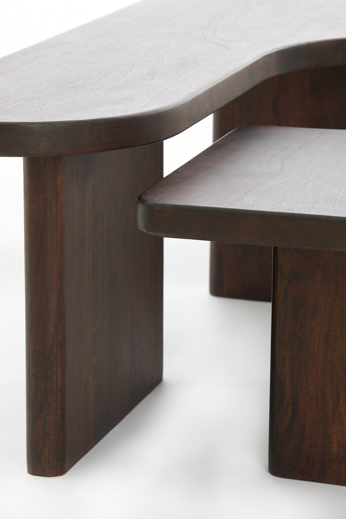 Light & Living - Salontafel CRATO - 120x60x45cm - Bruin - Set van 2