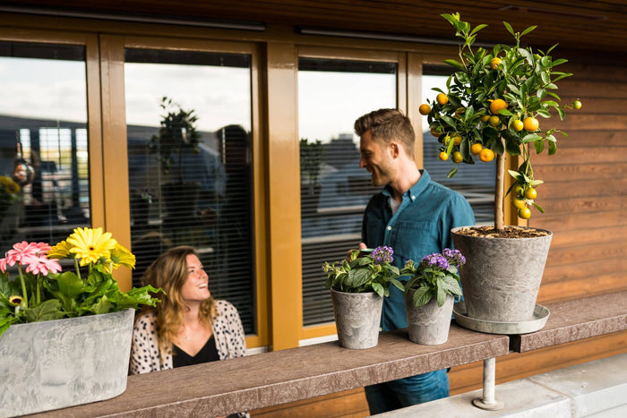 Artstone Balkonbak Claire - 35x16x17 - Grijs