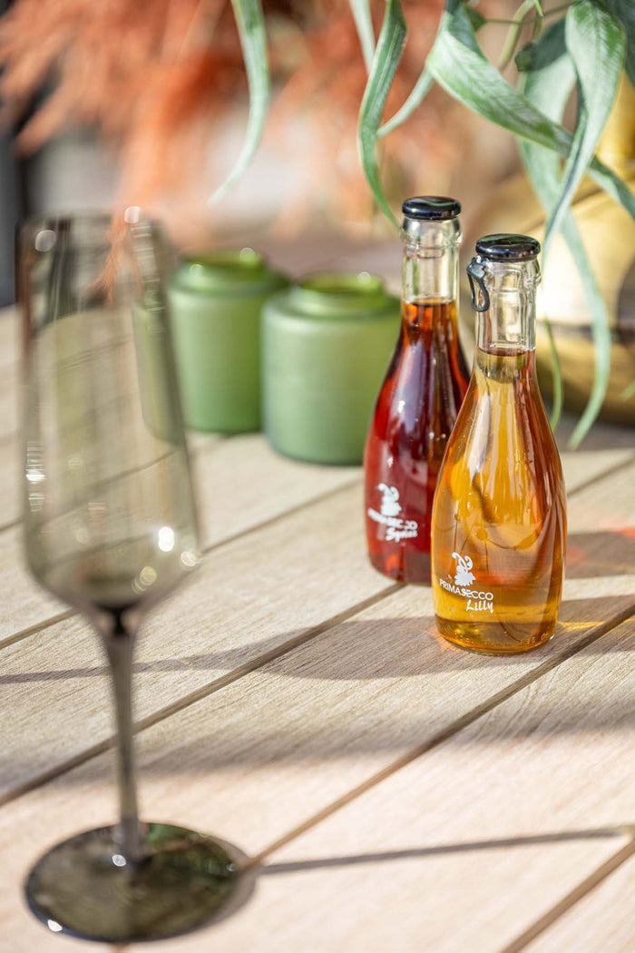 5-delige tuinset Dido tuinstoelen zachtgroen - Vigo tafel