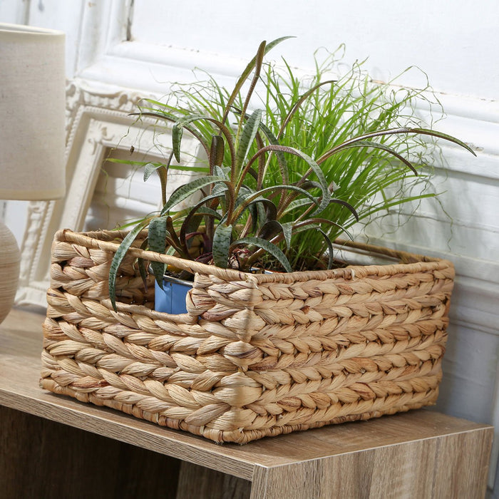 50023bf6-fa02-49a9-bd0e-940b1aa60806-sfeerbeeld.jpg (10316331)