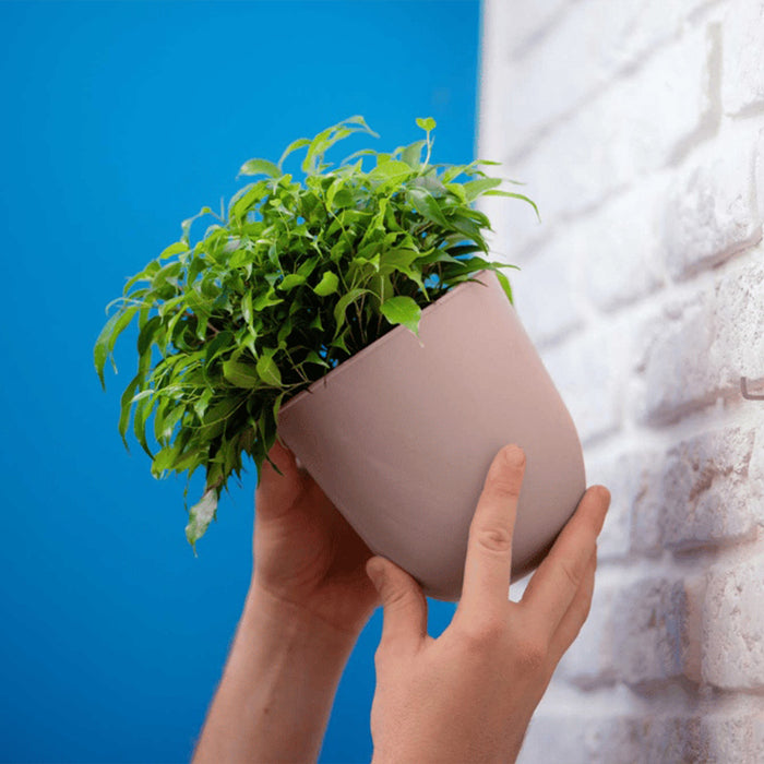 QUVIO Wand bloempot- Kunststof - Poederroze