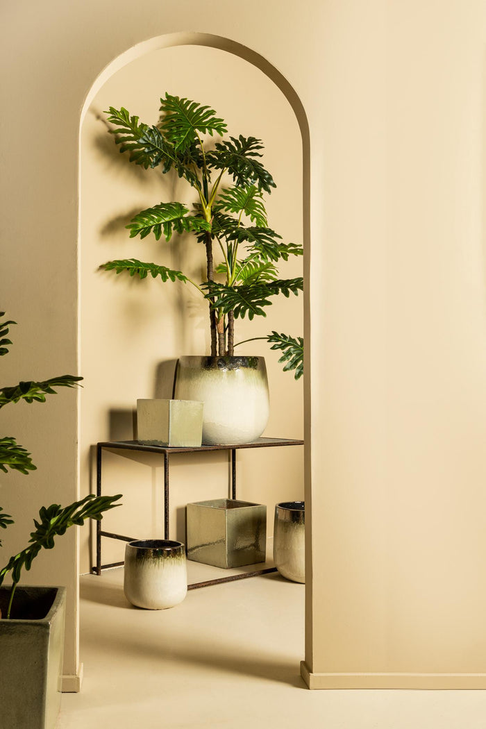 5f57709e-b376-49e8-998f-483eb1624e91-afbeelding9.jpg (10347092)