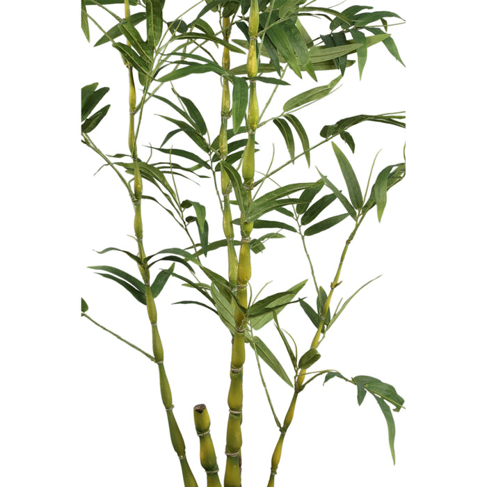 PTMD Tree Green Bamboo Tree In Pot