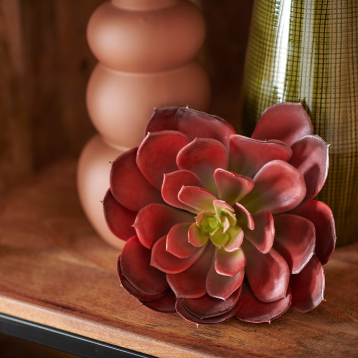 Fleurdirect Kunstplant Echeveria - - Polyester - 0x20x0cm (BxHxD)