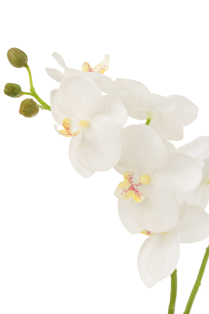 J-line - Orchidee In Aarde Plastiek Wit|groen Medium - 30x15x52cm