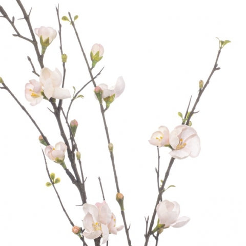 81142432-818b-45e6-8413-742784293ebf-afbeelding3.jpg (10362721)