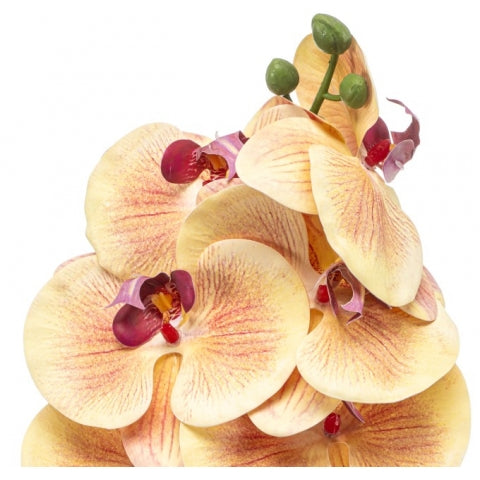 5c4bccee-e6fb-4dec-82bf-b9d6be1d8366-afbeelding3.jpg (10362949)