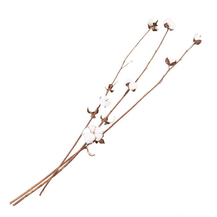 Clayre & Eef Droogbloemen 80 cm Wit Bruin Droogbloemen Droogboeket