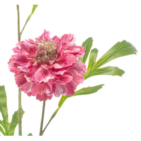 Fleurdirect Kunstbloem Scabiosa - Roze - Kunststof - 0x62x0cm (BxHxD)