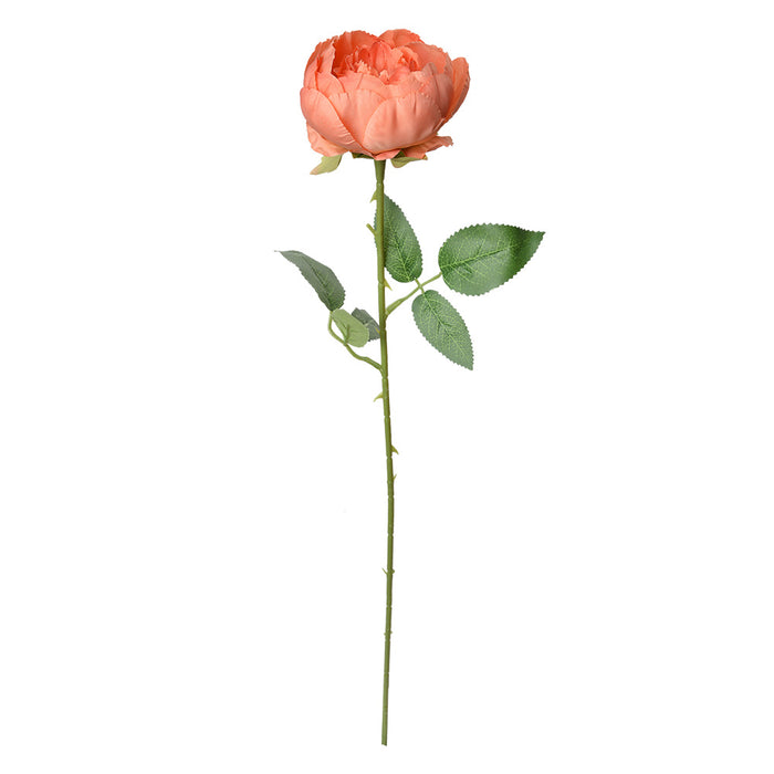 5d8ff5ed-1bc8-429d-8f6a-0147655bac2c-afbeelding10.jpg (10363743)