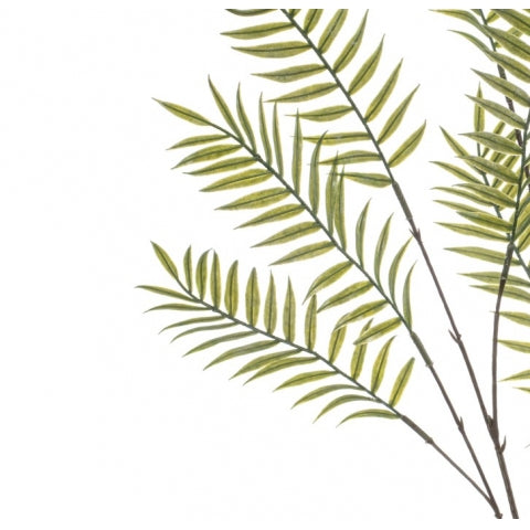 9cf69f2d-cd66-49c1-8cc0-9cc3cc252013-afbeelding4.jpg (10363824)