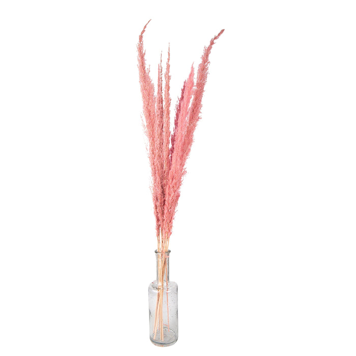 Clayre & Eef Droogbloemen 100 cm Roze Droogbloemen Droogboeket