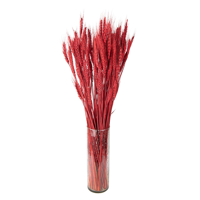 Clayre & Eef Droogbloemen 80 cm Rood Droogbloemen Droogboeket