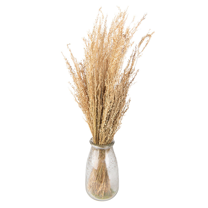 Clayre & Eef Droogbloemen 55 cm Beige Droogbloemen Droogboeket