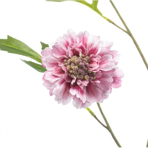 Fleurdirect Kunstbloem Scabiosa - Roze - Kunststof - 0x62x0cm (BxHxD)