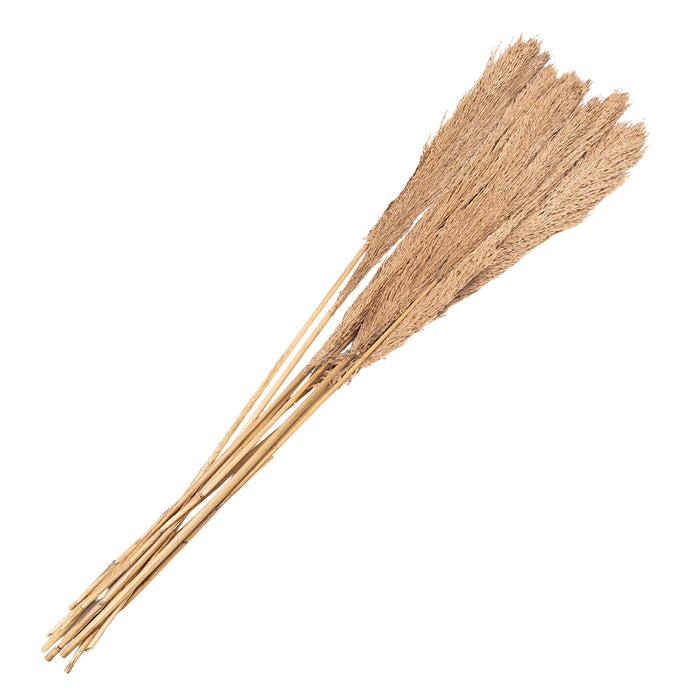 Clayre & Eef Droogbloemen 120 cm Beige Droogbloemen Droogboeket