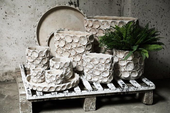 PTMD Ayisy Cream Oval Cement Pot With Coral L