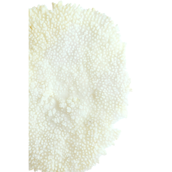 Light & Living - Ornament CORAL - 46x20x69cm - Wit