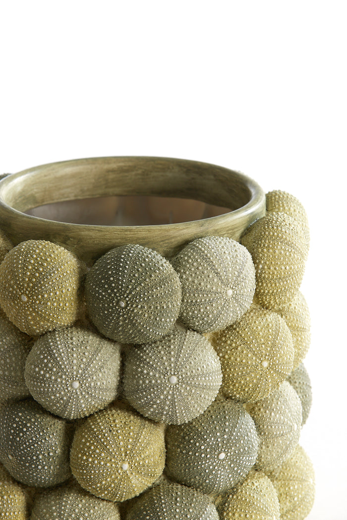 Light & Living - Vaas SEA URCHIN - Ø20.5x18cm - Groen