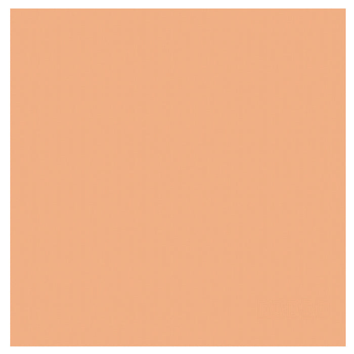 DDDDD 2x theedoek + 2x keukendoek Barbeque & logo - pastel peach