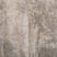 LOOKS by Wolfgang Joop Fotobehang Berkenbomen 270x200cm