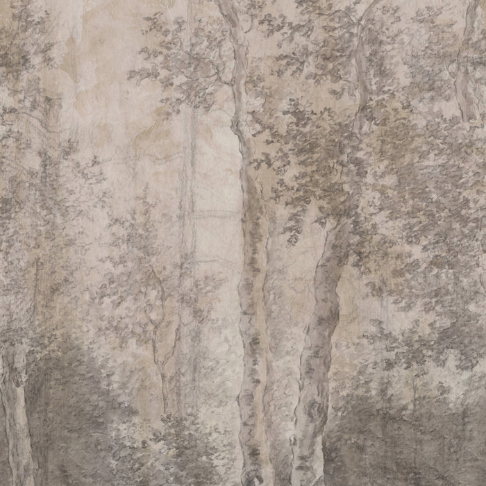 LOOKS by Wolfgang Joop Fotobehang Berkenbomen 270x200cm