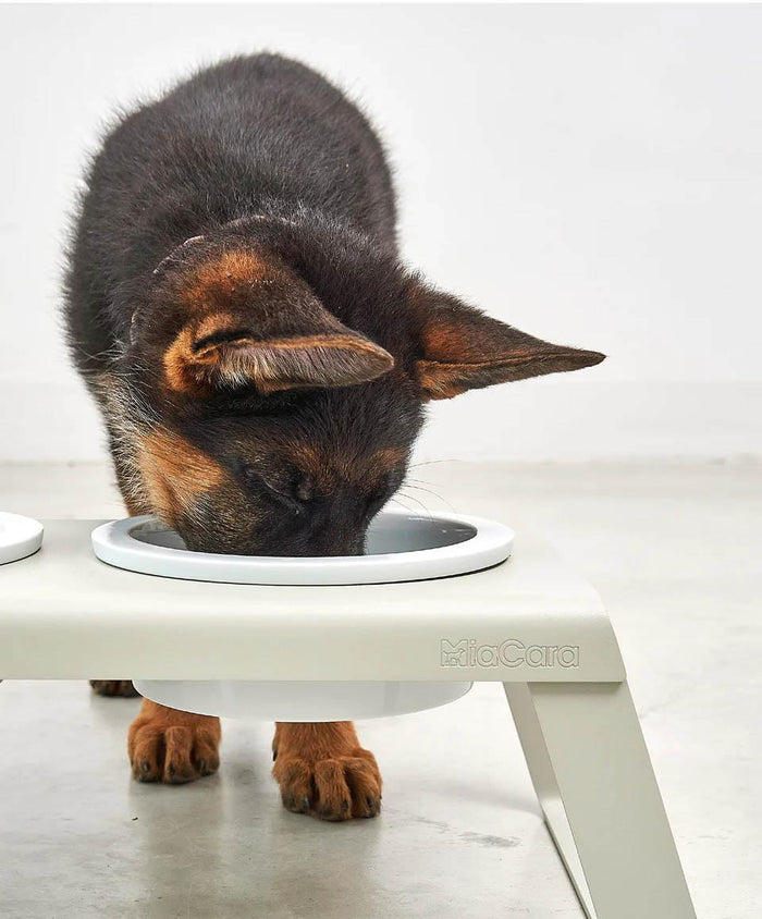 MiaCara Desco hondenvoerbak porselein small essen