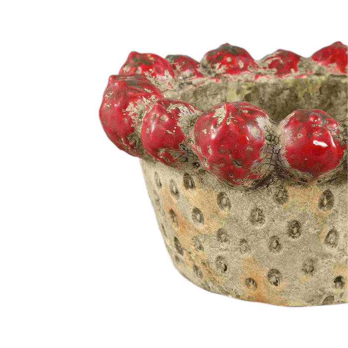 PTMD Fruitsy Red Round Terra Bowl Strawberries Edge L