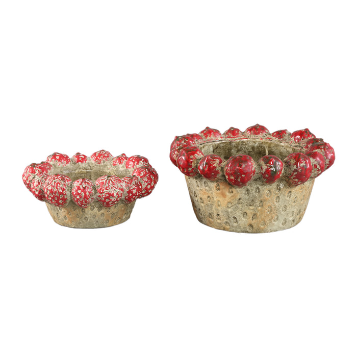 PTMD Fruitsy Red Round Terra Bowl Strawberries Edge L
