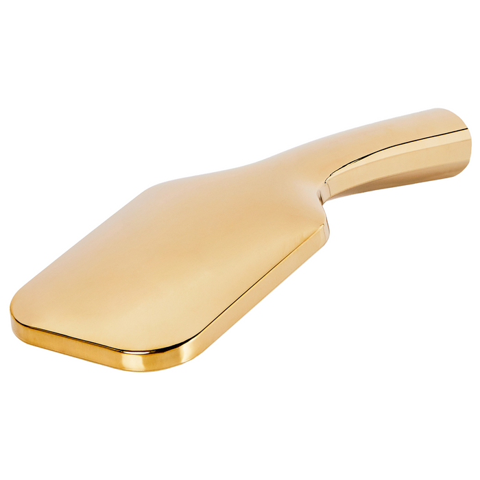 Beliani - AMAJA - Douchekop met doucheslang - Goud - ABS kunststof