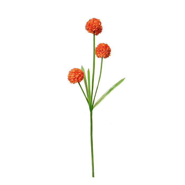 81ebd0fd-4bf5-4932-ab22-d47ea9fc86c5-afbeelding3.jpg (10441034)