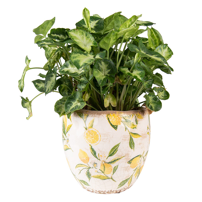 0132e041-440d-46cc-97d9-a319b4332cb5-afbeelding3.jpg (10441147)